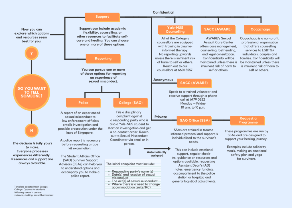 A flowchart that details the different supports that are available for survivors, such as the support resources on and off campus and reporting procedures, be it to the police or to the college.  
