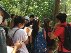 Students at a field trip