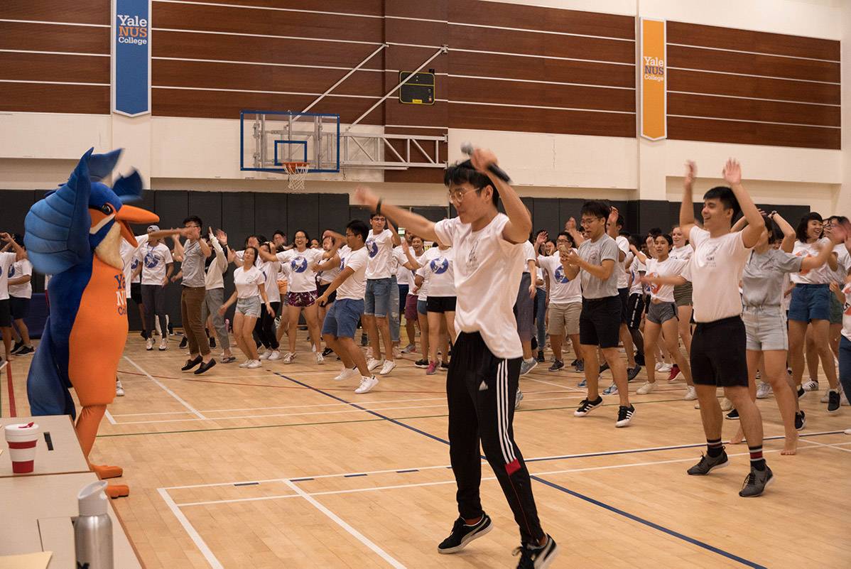 Orientation dance activity