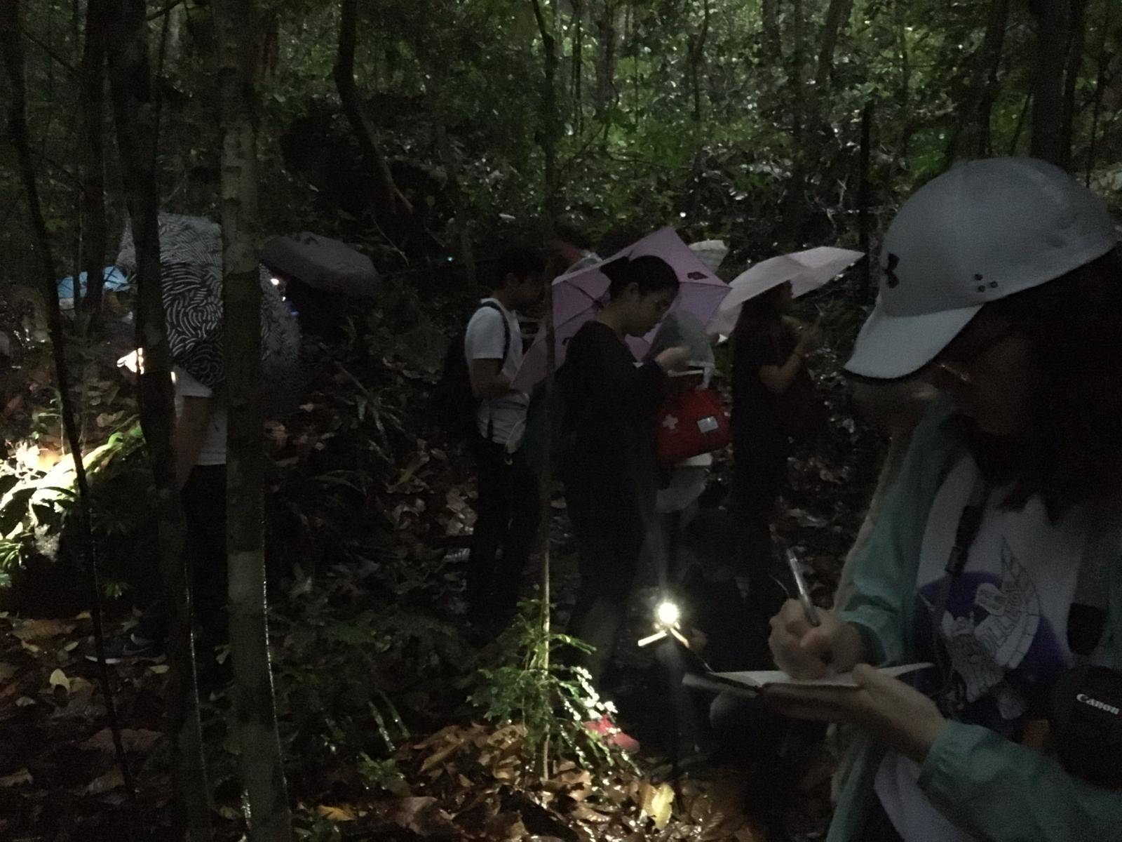 Students at a field trip observing