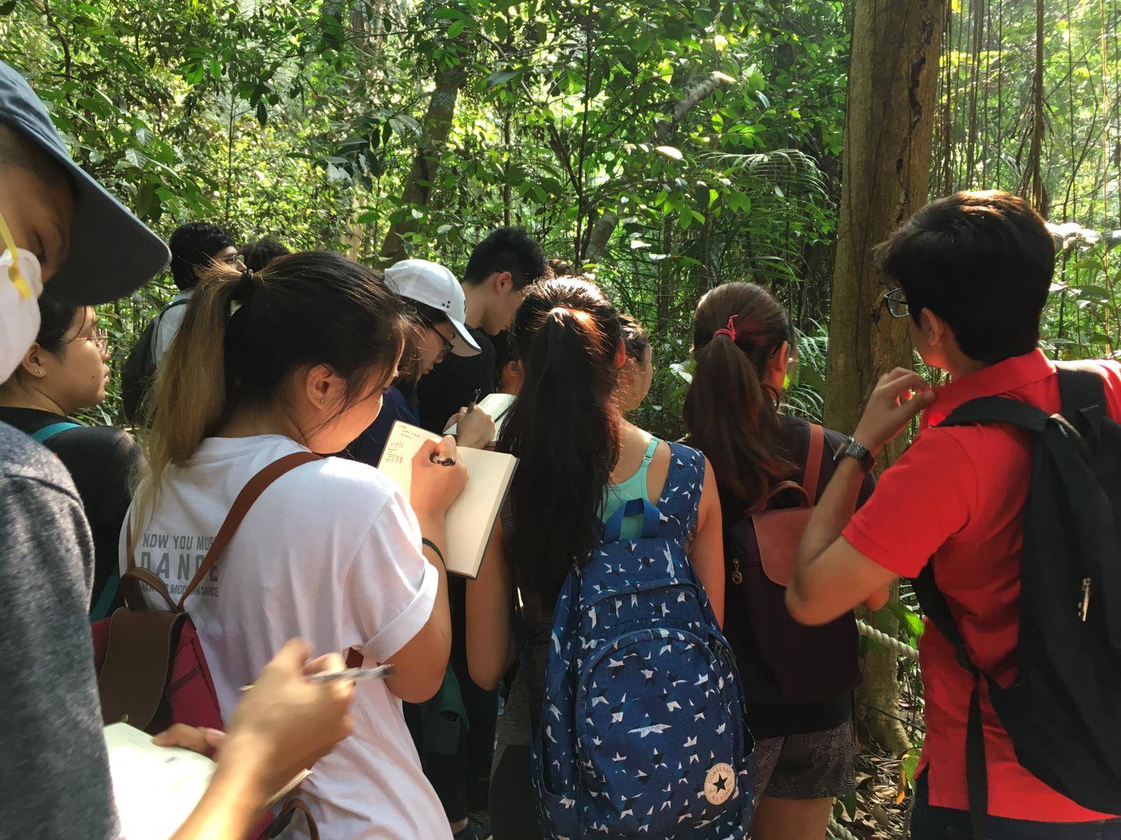 Students at a field trip