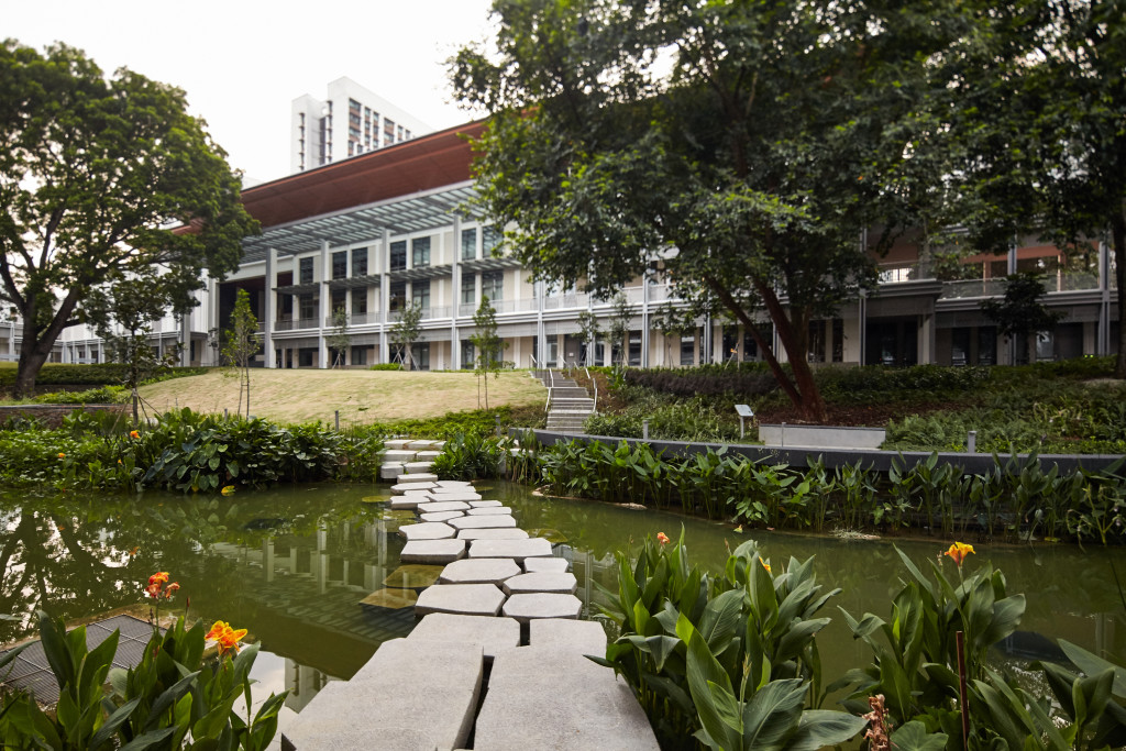 campus - eco pond - library
