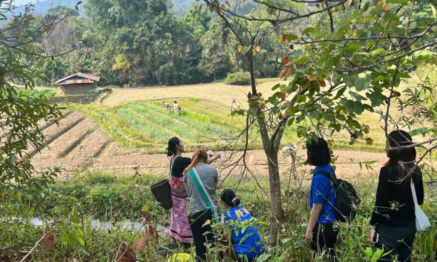 From Thailand to Brunei: Reflections from Yale-NUS College’s Learning Across Boundaries (LABs) programme 2023